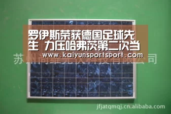 罗伊斯荣获德国足球先生 力压哈弗茨第二次当选“KAIYUN SPORTS”(图3) KAIYUN SPORTS